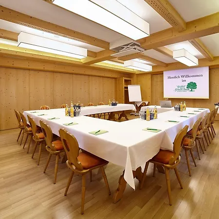 Hotel Gruener Baum 3*