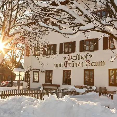 Hotel Gruener Baum 3*