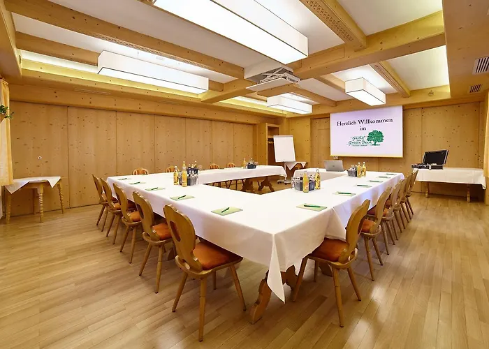 מלון Gruener Baum 3*