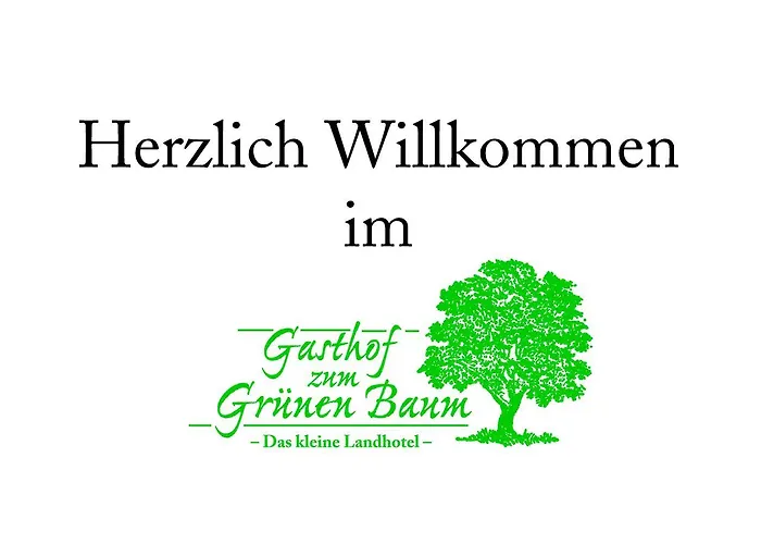 מלון Gruener Baum 3*
